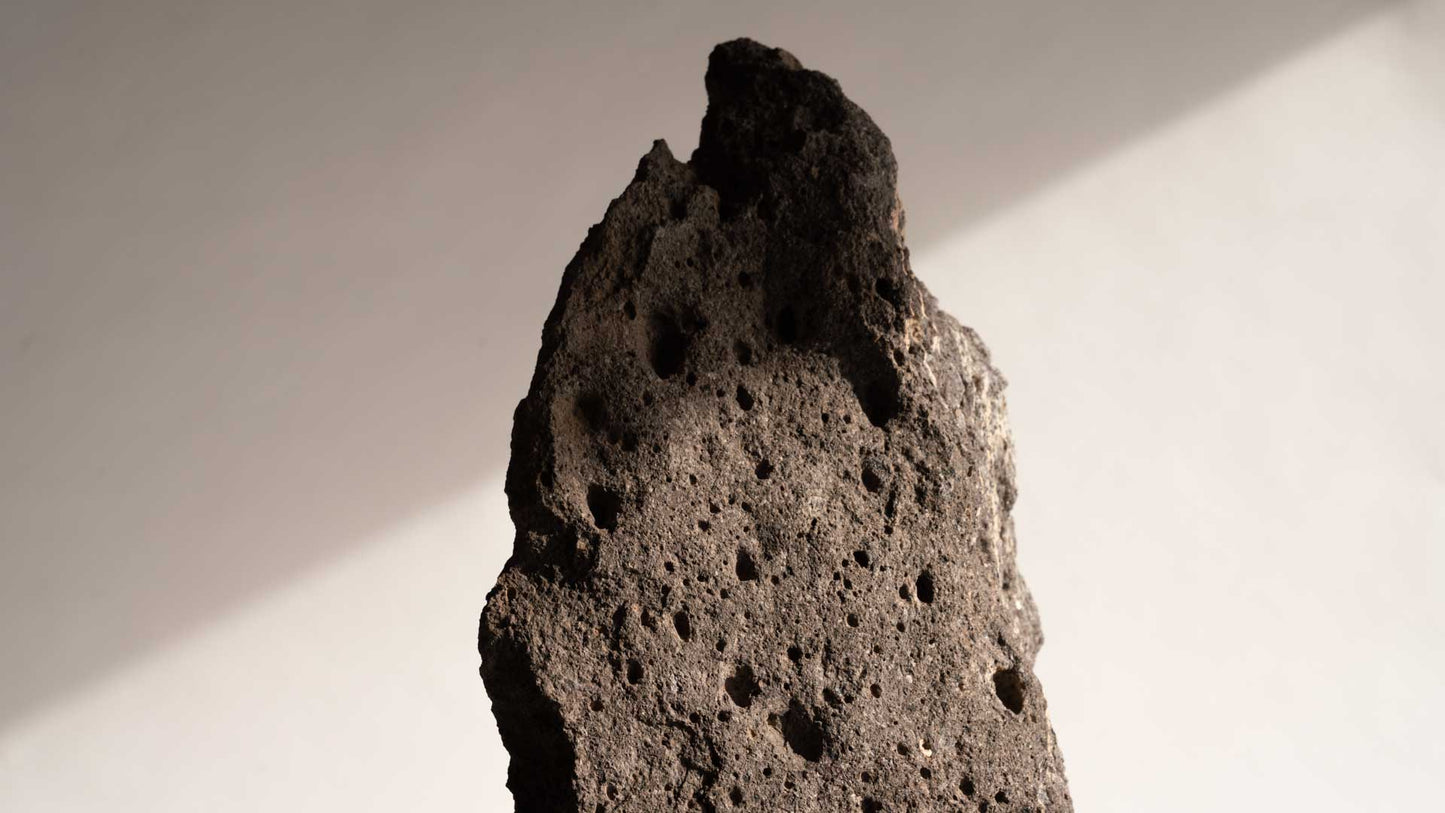 Vesta